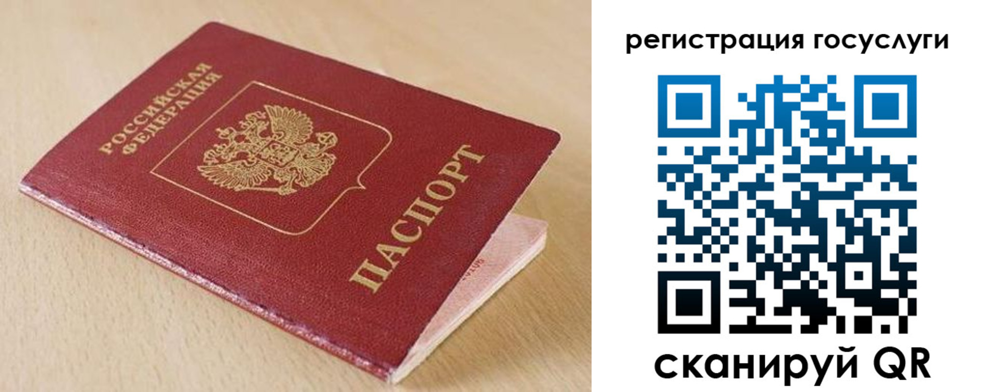 временная регистрация гарантия в Камышине