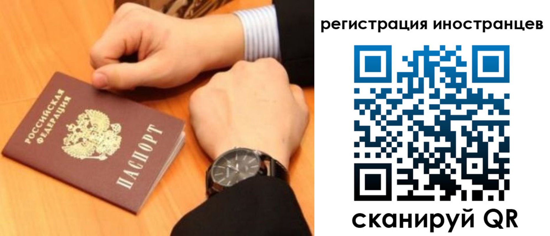 прописка гарантия в Камышине